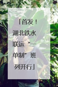 首发！湖北铁水联运“一单制”班列开行